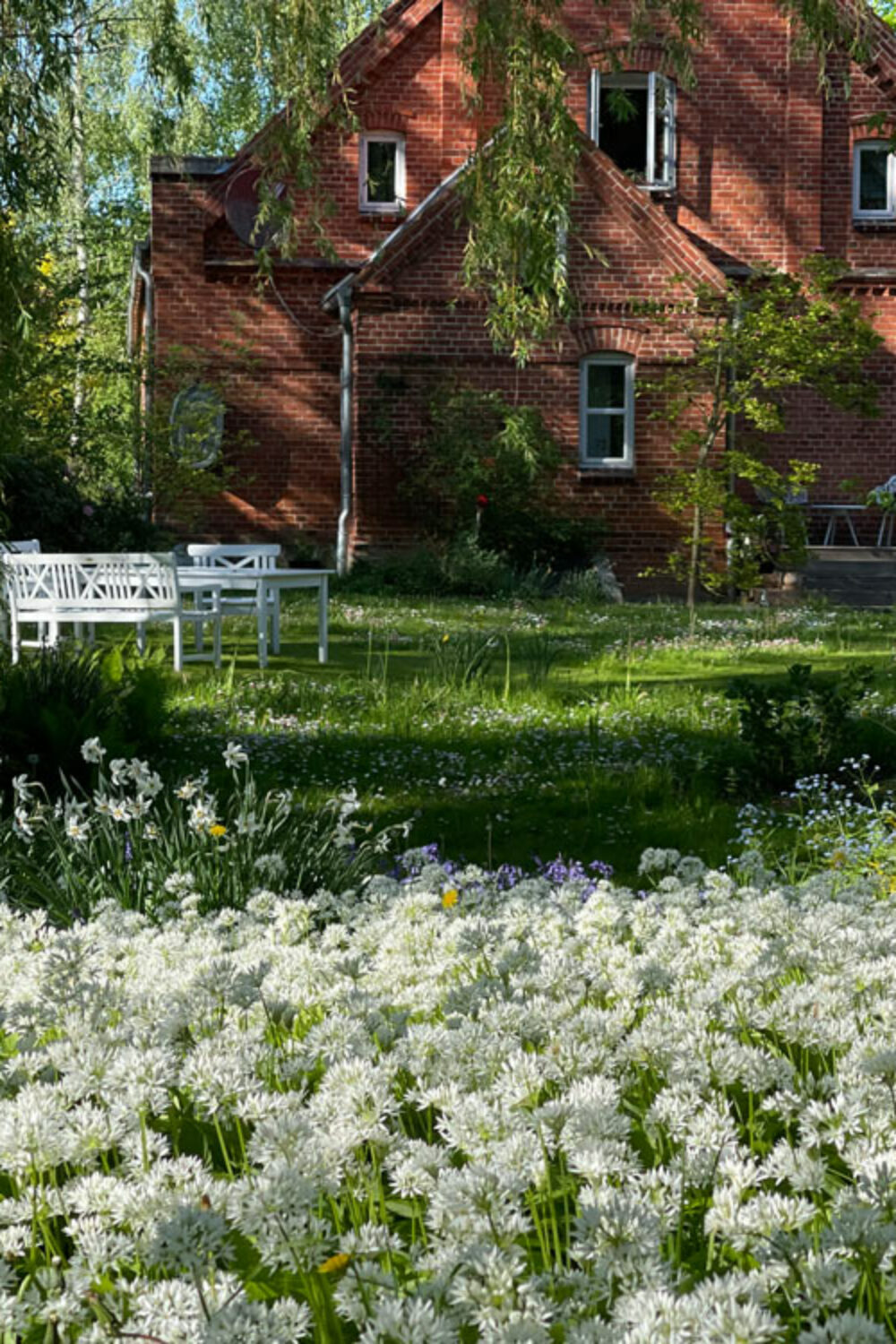 Ferienhaus mit Garten im Frühling